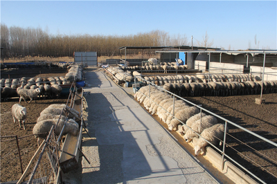 張掖市畜牧獸醫(yī)局牧場工程設(shè)計(jì)要點(diǎn)與發(fā)展趨勢